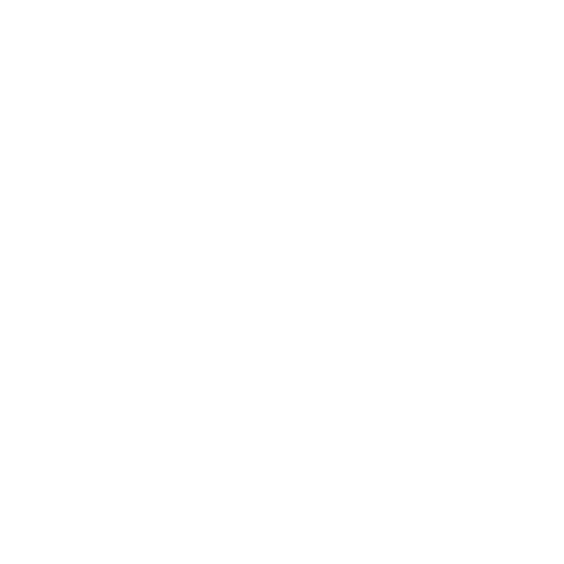 play Icon
