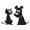 Pets